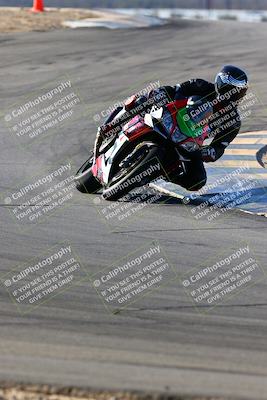 media/Jan-09-2022-SoCal Trackdays (Sun) [[2b1fec8404]]/Turns 9 and 8 (920am)/